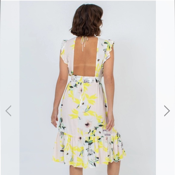 Stillwater Jessie FLORAL KNEE LENGTH DRESS Midi Size Small - Picture 4 of 14